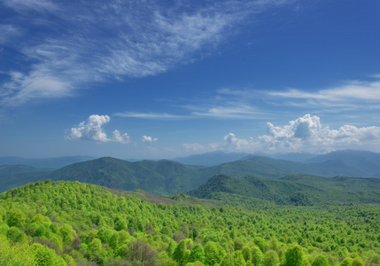 夏天山风景