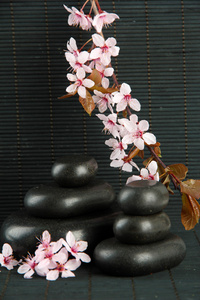 spa 石头和竹背景上的花朵