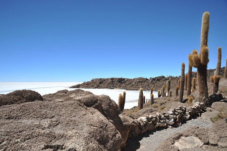 玻利维亚印加 salar de，乌尤尼盐湖岛