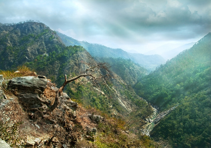 高山峡谷的斜坡