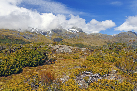 高山植被下面云缭绕的山峰图片