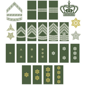 丹麦军队的徽章照片