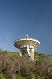 射电望远镜