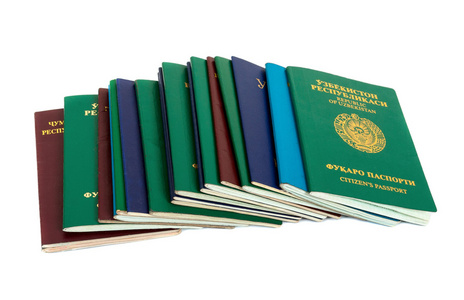 在白色背景上的不同外国护照图片