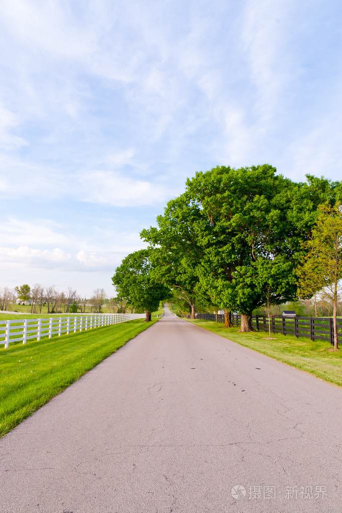 乡村道路照片-正版商用图片1c9v82-摄图新视界