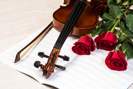 小提琴 玫瑰和音乐书籍