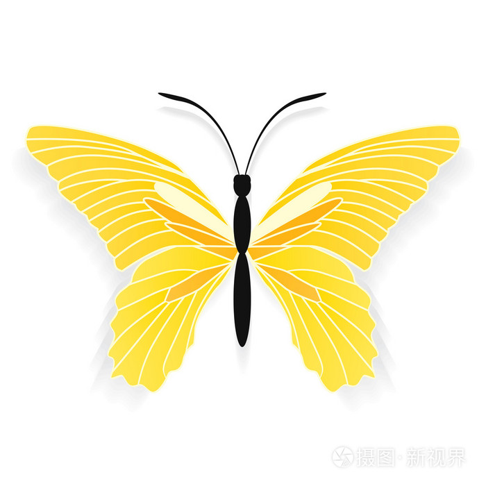 黄蝶插画-正版商用图片1ca7ev-摄图新视界