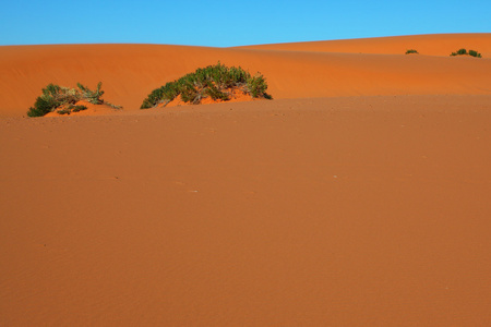 沙丘和蓝蓝的天空图片