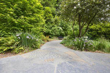 板岩石材花园路径与植物