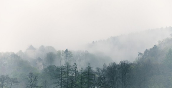 复古雾景观 森林与云