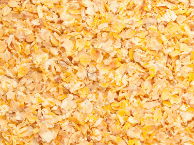 黄金微细化的玉米的背景。马的食物