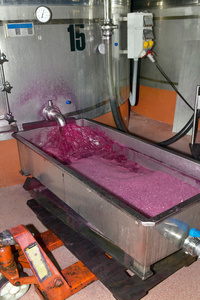 现代酿酒发酵过程图片