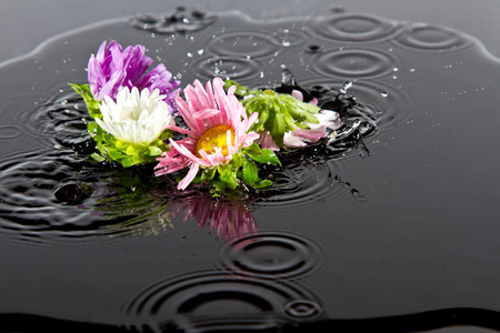 雨植物动态花落入水照片