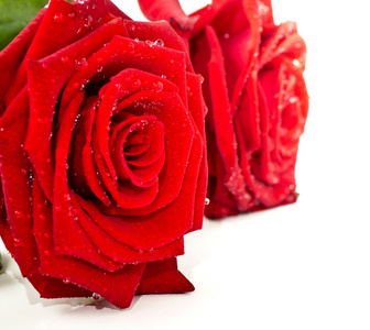 红色的玫瑰花瓣，作为爱的象征