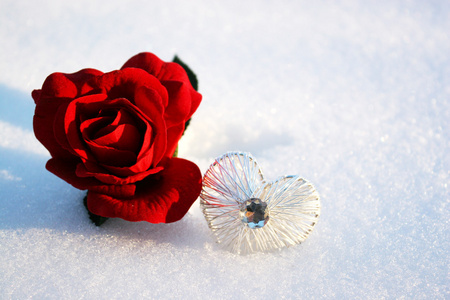 在雪中玫瑰用水晶的心的美丽红在一天的冬季