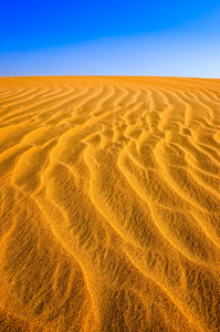 详细信息的结构化沙漠沙丘
