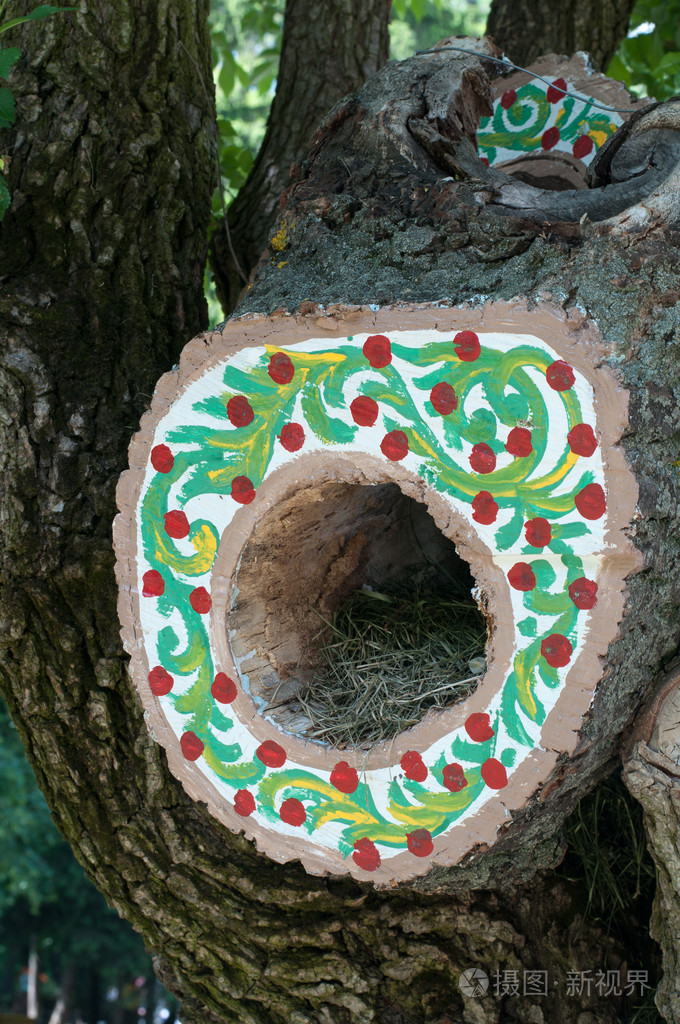 空心树照片-正版商用图片1cawgz-摄图新视界