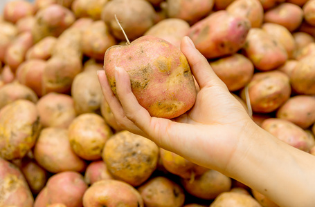 新鲜有机土豆在市场上，厄瓜多尔基多