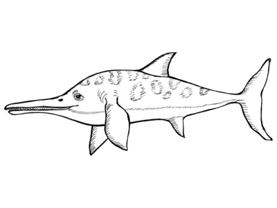 鱼龙化石化石头, 复古雕刻插图关於滑齿龙捕捉鱼龙紫荆龙是侏罗纪时期