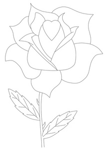一朵玫瑰的花的插图
