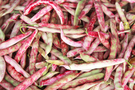 红豆沙豆荚照片