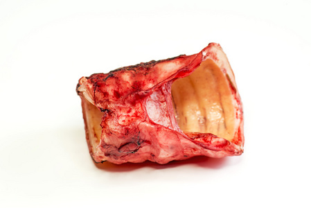 牛的消化牛的喉咙,狗吐的食物照片