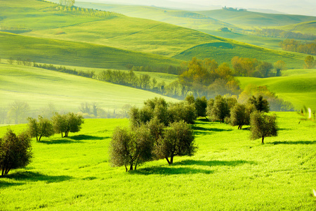 农村，San Quirico 奥斯塔山谷，托斯卡纳意大利