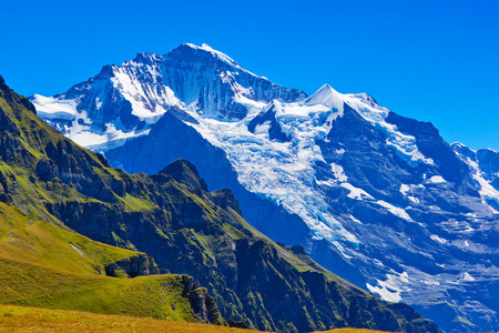 阿尔卑斯山