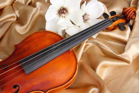 织物背景上的古典小提琴