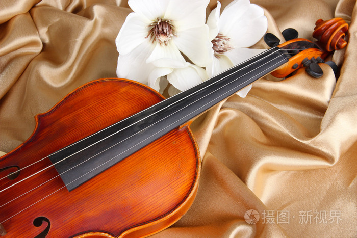织物背景上的古典小提琴