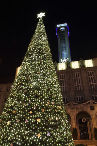 圣诞树在俄斯特拉发