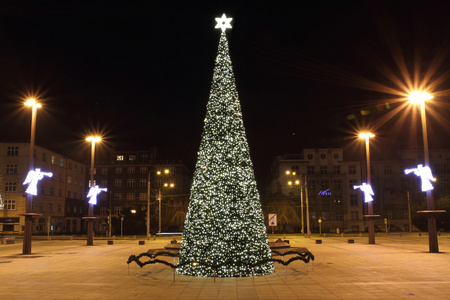 圣诞树在俄斯特拉发