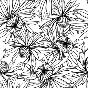 矢量无缝模式的抽象黑白色的花和叶子