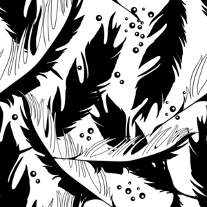 无缝模式从单色黑白色羽毛的鸟水彩的黑色和白色单色羽毛无缝模式水彩