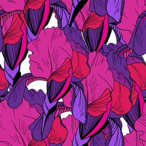 无缝模式从紫色鸢尾花