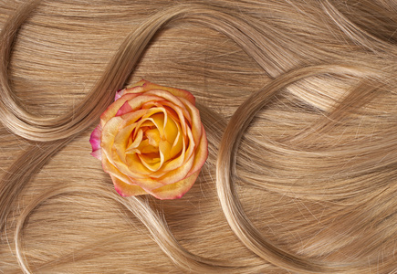 长长的金发人类闪亮的头发一朵玫瑰