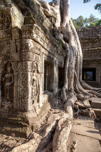 ta 普仑寺，吴哥，柬埔寨