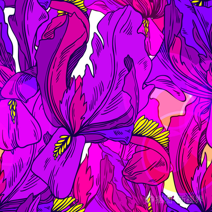 无缝模式从紫色鸢尾花插画-正版商用图片1cdbl9-摄图新视界