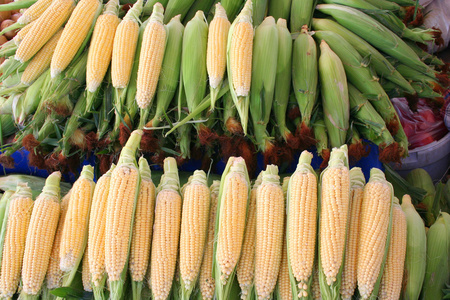 在市场上的玉米
