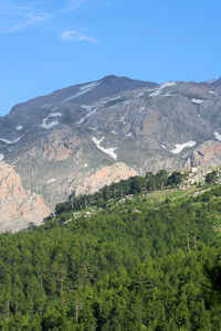 山风景