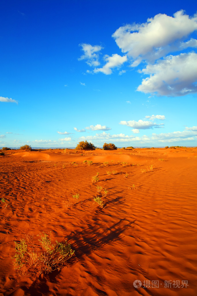 撒哈拉沙漠景观非洲