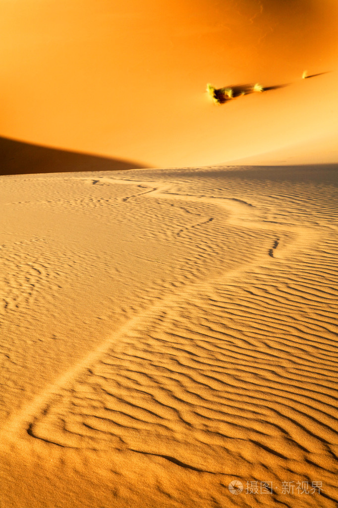 摩洛哥沙漠沙丘背景