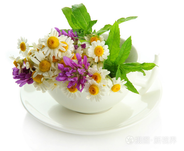 漂亮的野花和薄荷的杯子 白色上孤立照片 正版商用图片1cdhwf 摄图新视界