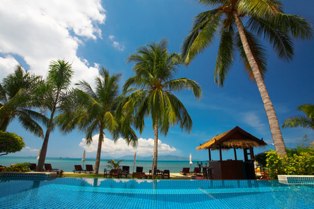 背上的漂亮的热带游泳池与异国情调小屋视图