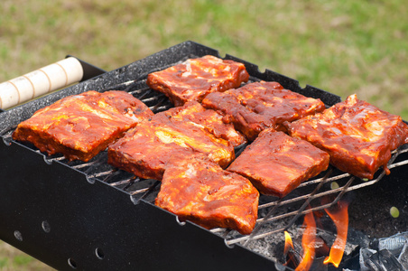 用木炭烤架上烧烤排骨照片