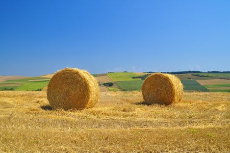 在农村领域与蓝蓝的天空上的干草稻草