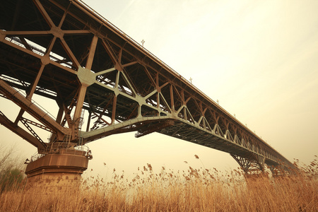 芦苇秋天的前景色和钢桥