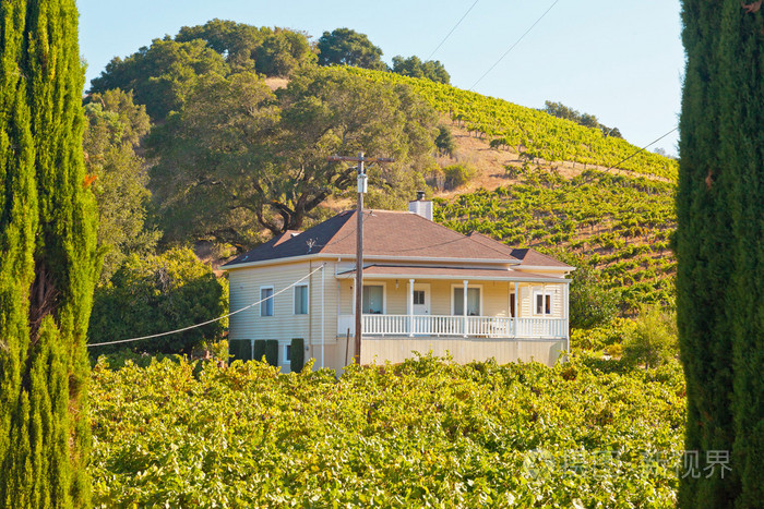 葡萄园与白色房子和蔚蓝的天空纳帕谷加利福尼亚州