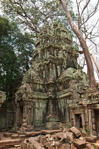 ta 普仑庙，吴哥窟，柬埔寨