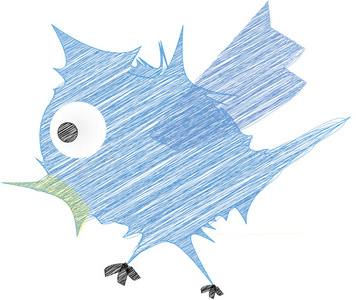 蓝色的社交媒体的鸟